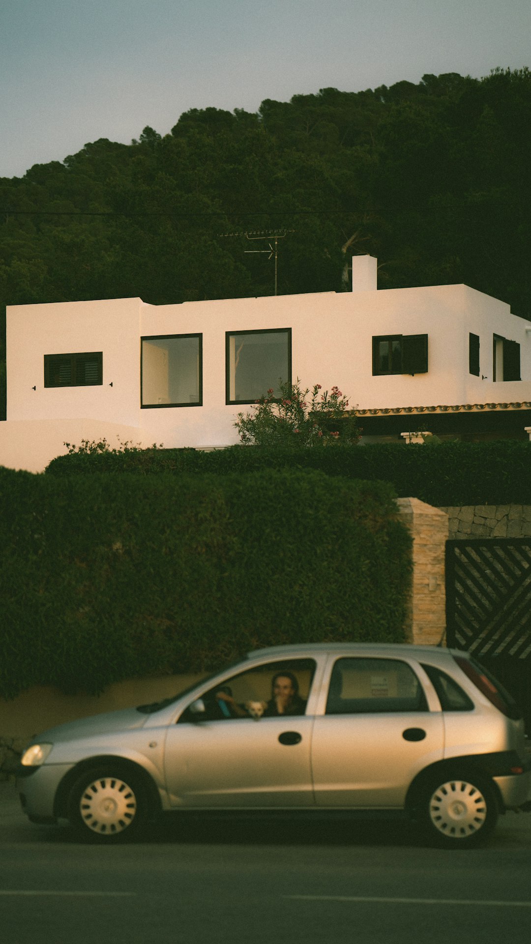 Modern Family Residence