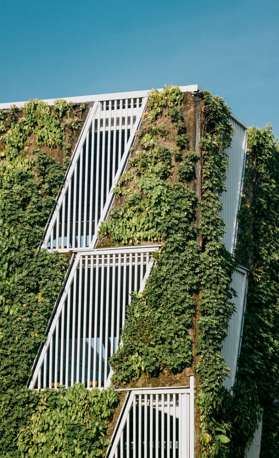 Eco-Friendly Family Home