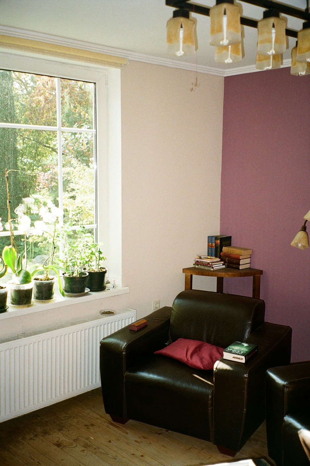 Heritage Home Renovation